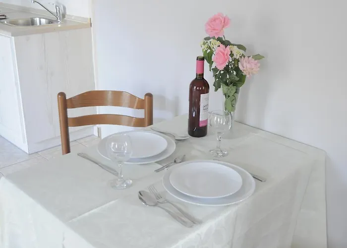 Daire Palm Tree Simi