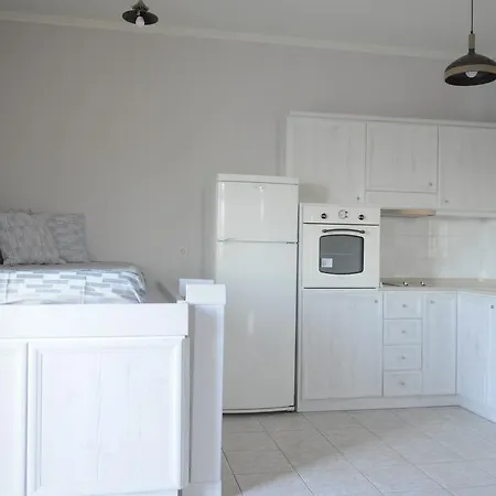 Apartment Palm Tree Studio *