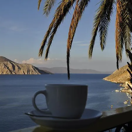 Palm Tree Studio Symi