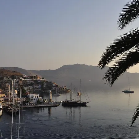 Palm Tree Studio Symi