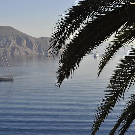Apartment Palm Tree Studio Symi